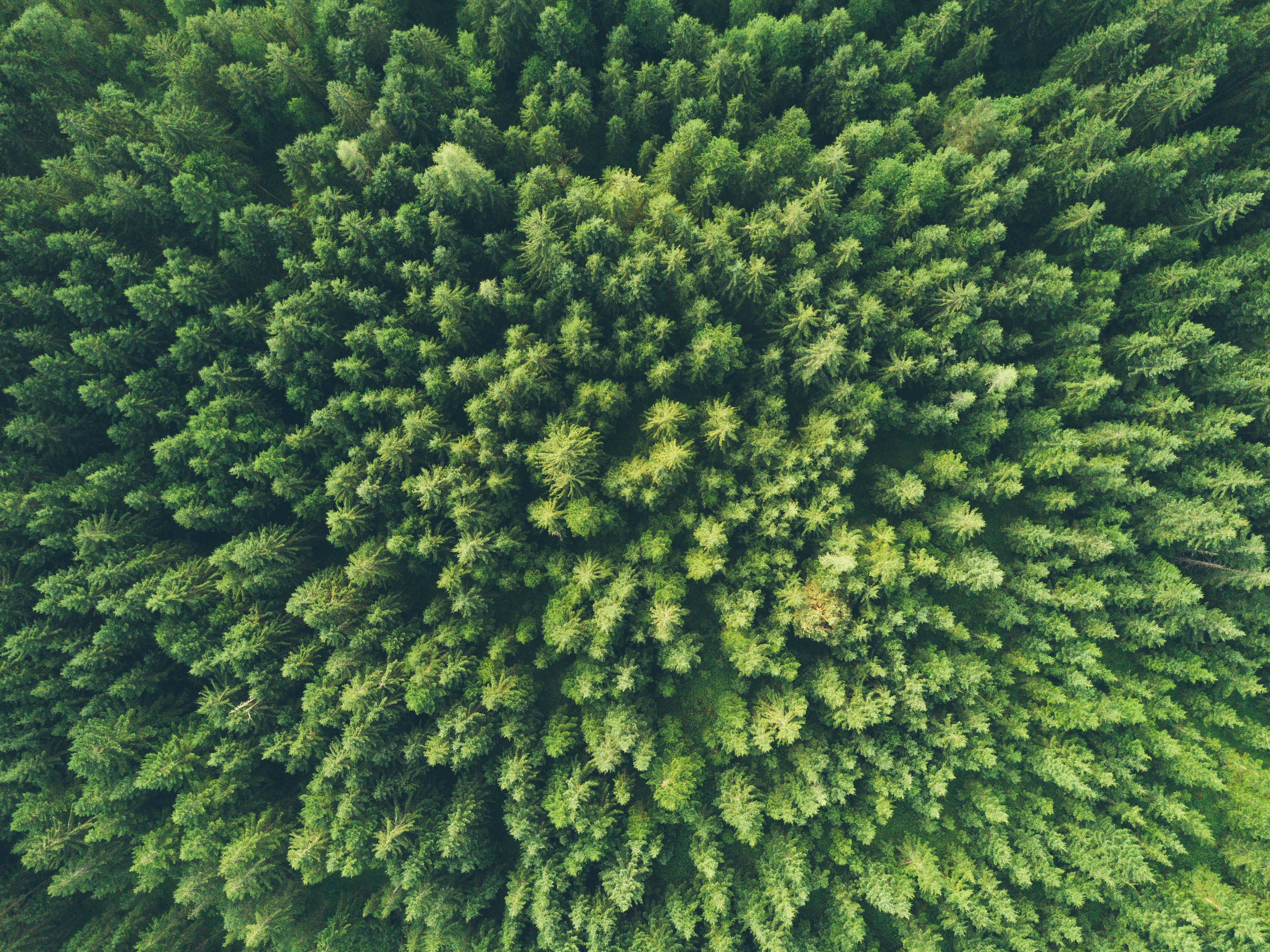 Consommer local : Pourquoi acheter à ses voisins change l’économie et la planète – Le guide complet du circuit court