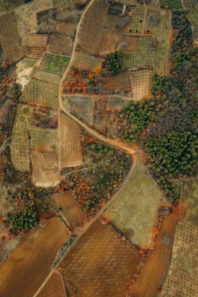 La permaculture verticale : Cultiver durablement même dans les plus petits espaces