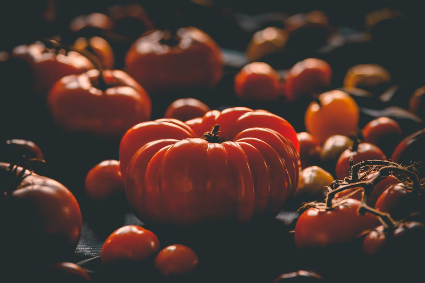 Le retour des variétés anciennes : redécouvrir les trésors oubliés de nos potagers